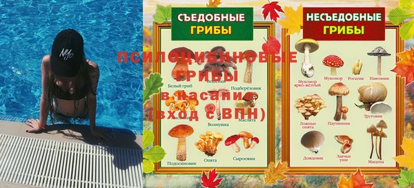 прущая мука Алзамай