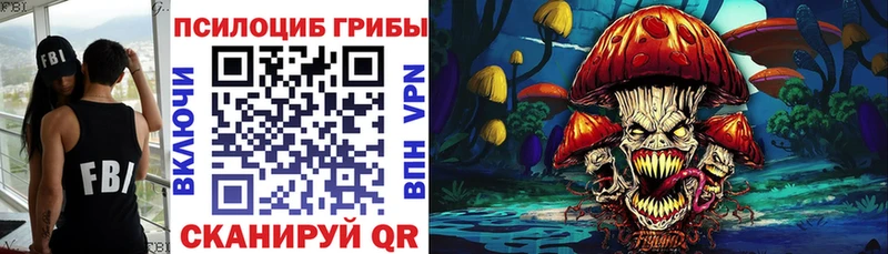 mega зеркало  Жердевка  Псилоцибиновые грибы Psilocybe 